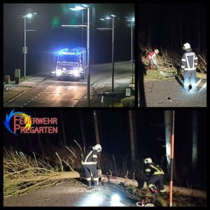 Sturmschaden Einsatz Collage